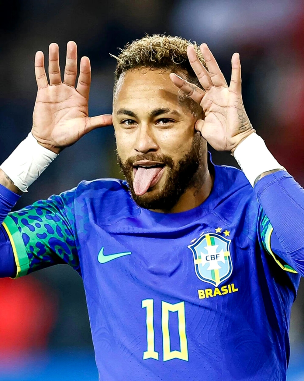 与敏锐的嗅 与敏锐的嗅